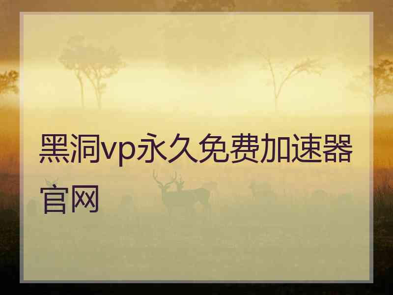 黑洞vp永久免费加速器官网