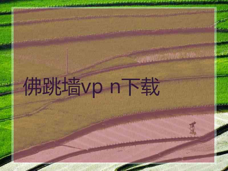 佛跳墙vp n下载