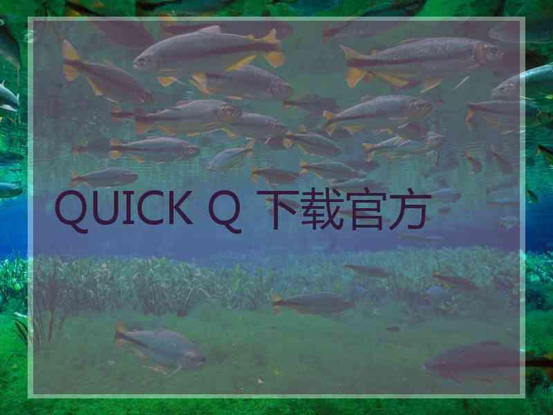 QUICK Q 下载官方