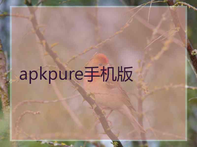 apkpure手机版