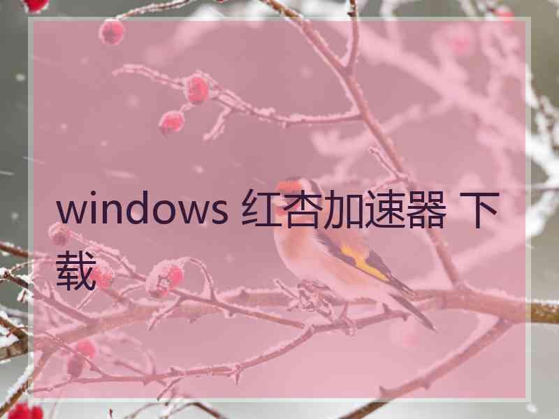 windows 红杏加速器 下载