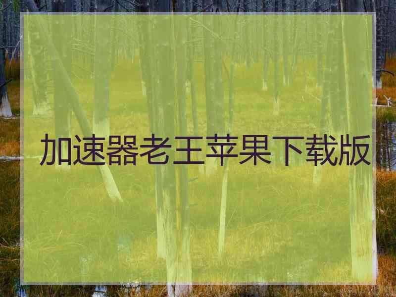 加速器老王苹果下载版