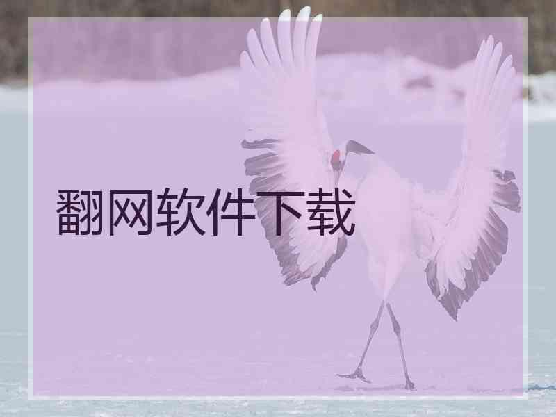 翻网软件下载