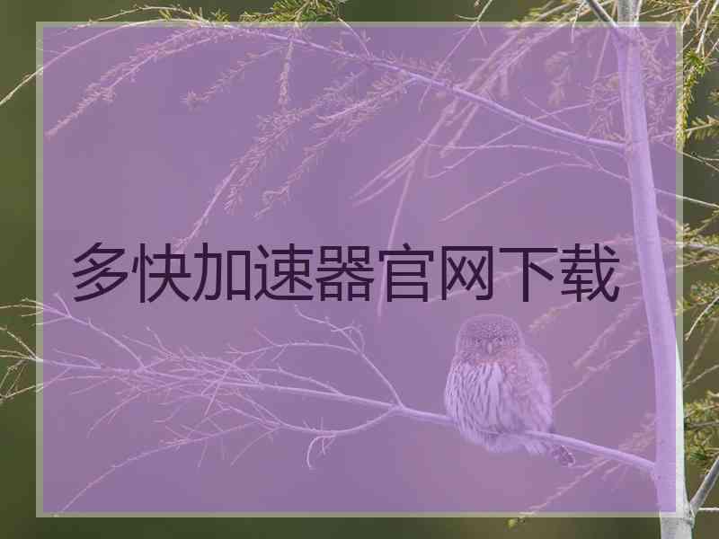 多快加速器官网下载