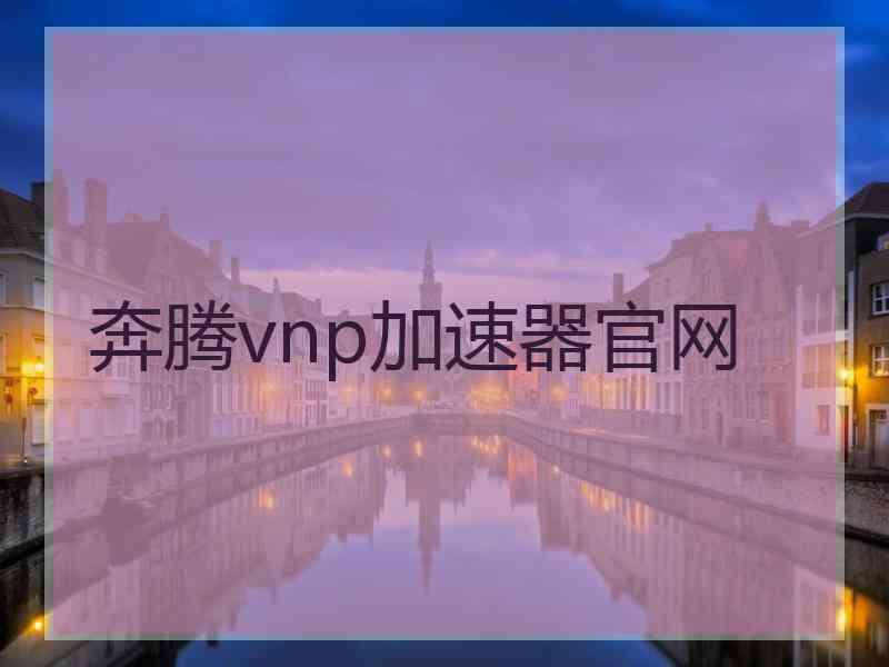 奔腾vnp加速器官网