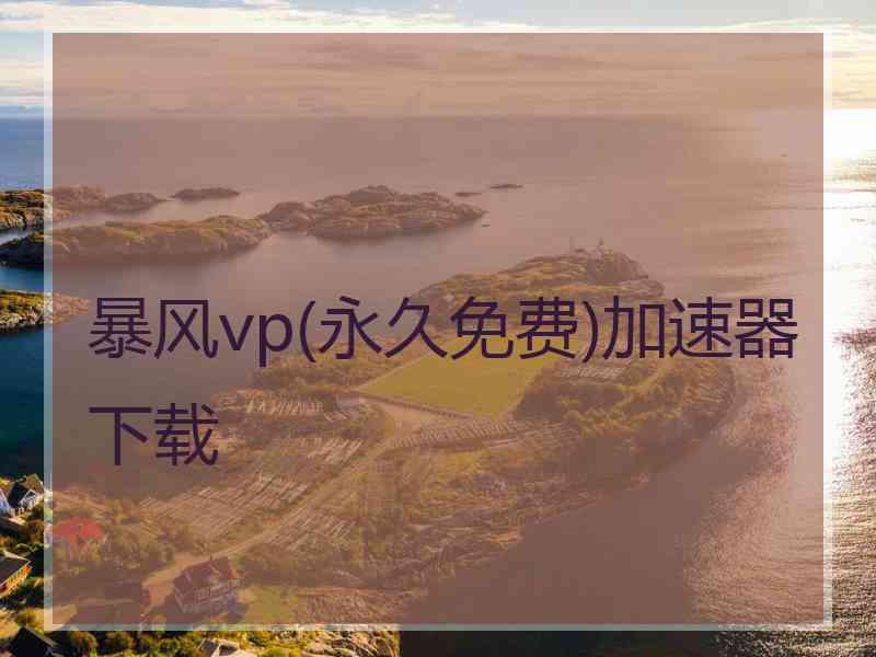 暴风vp(永久免费)加速器下载