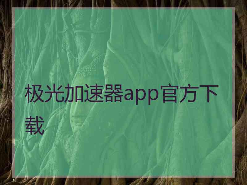 极光加速器app官方下载