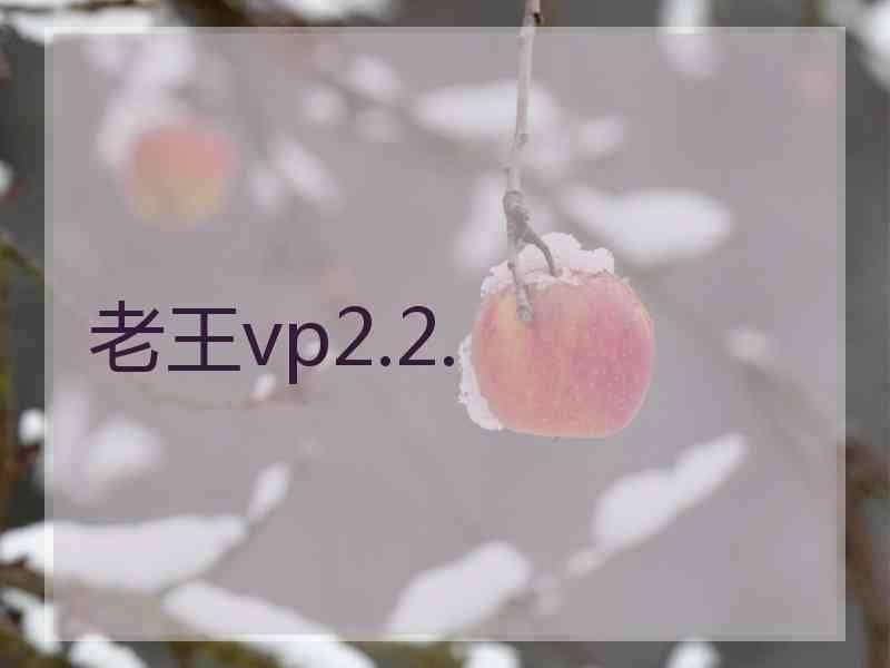 老王vp2.2.