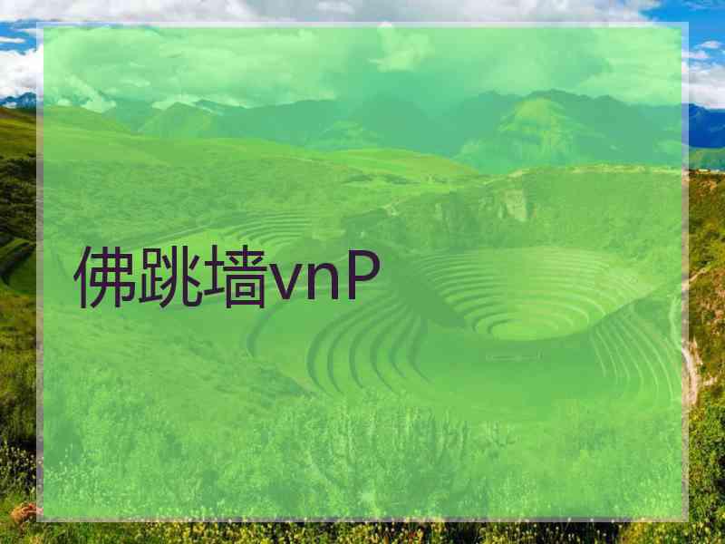 佛跳墙vnP