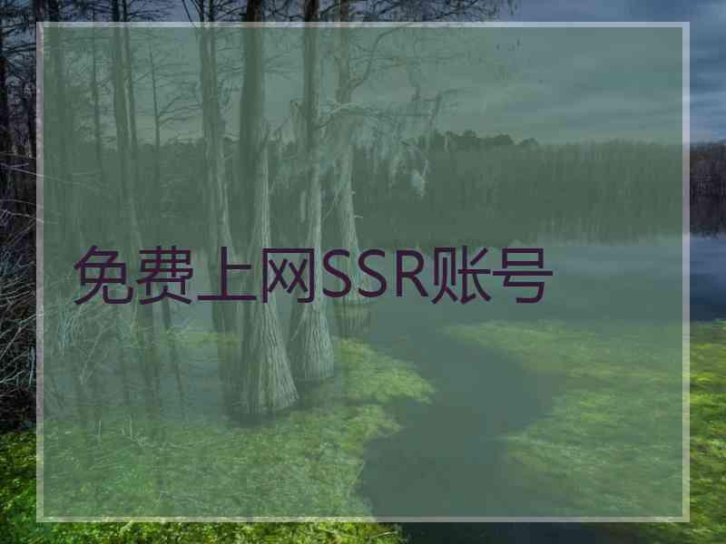 免费上网SSR账号