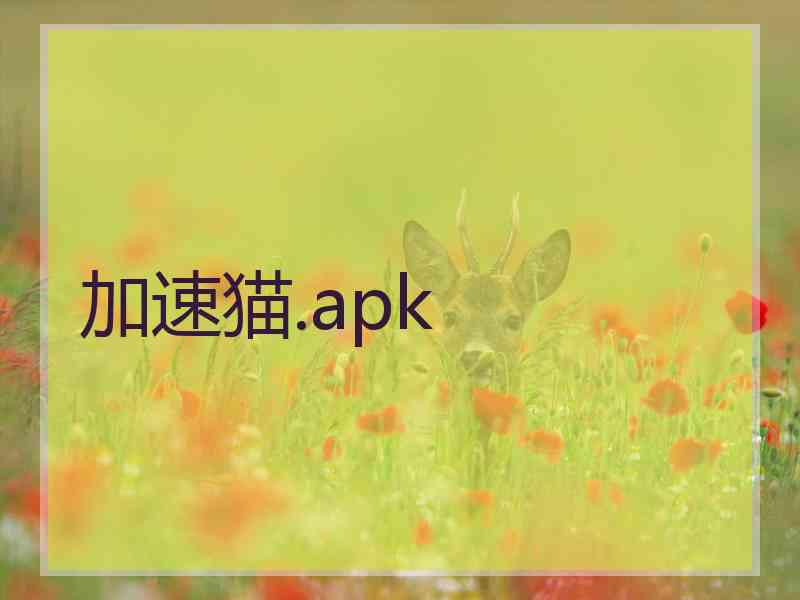 加速猫.apk