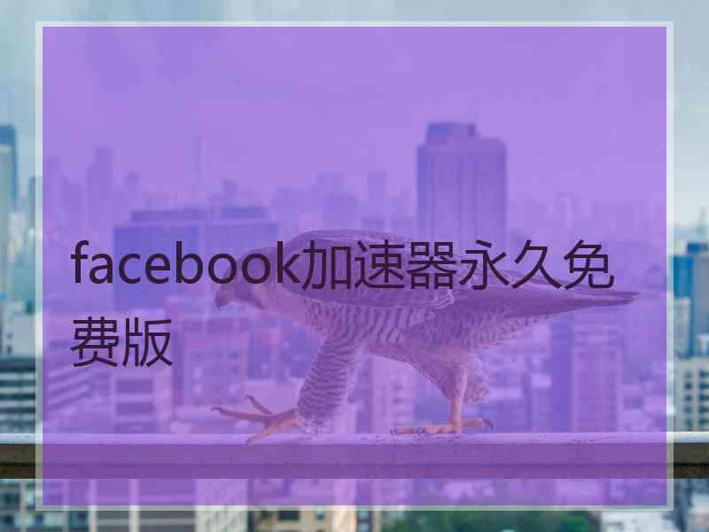 facebook加速器永久免费版