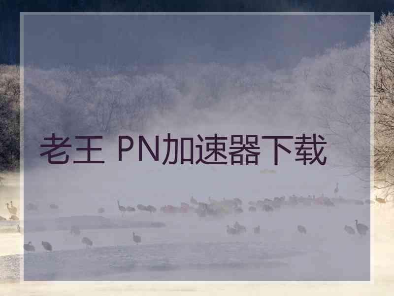 老王 PN加速器下载