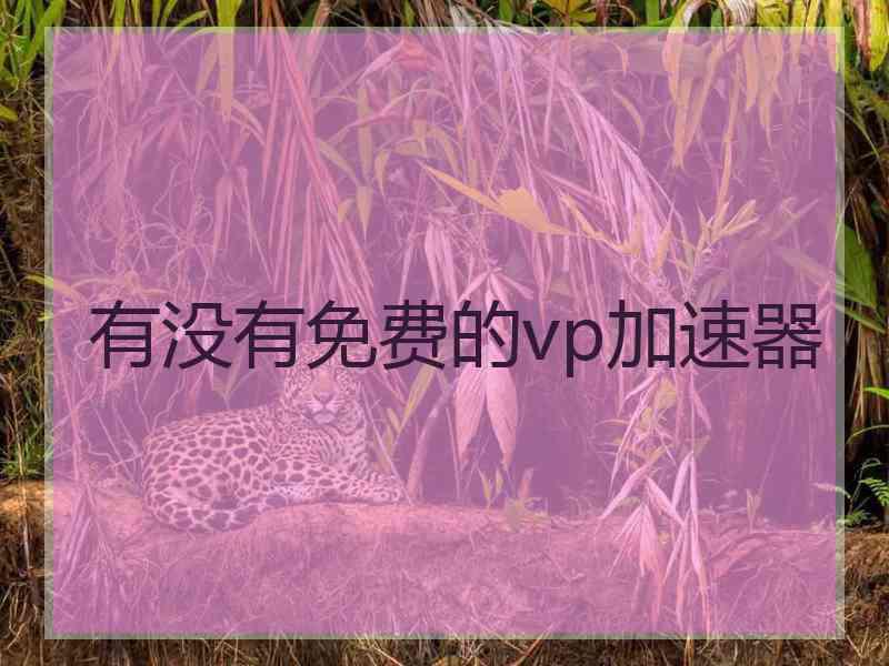 有没有免费的vp加速器