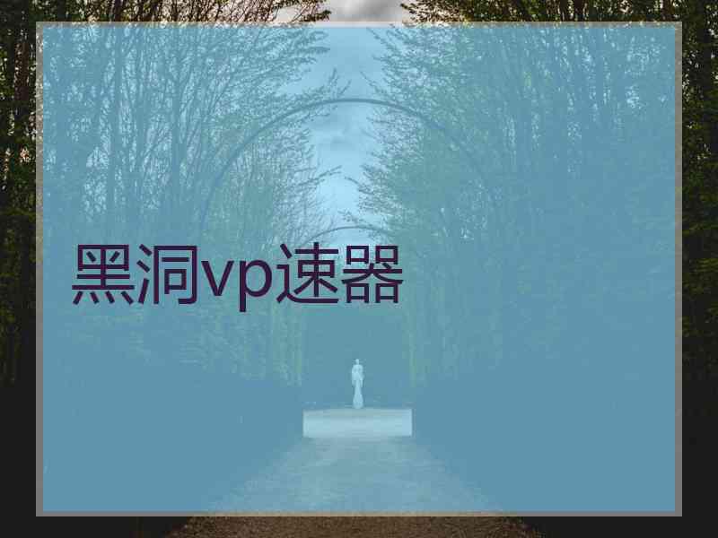 黑洞vp速器