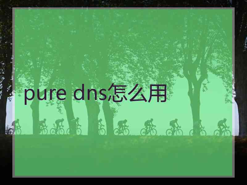 pure dns怎么用