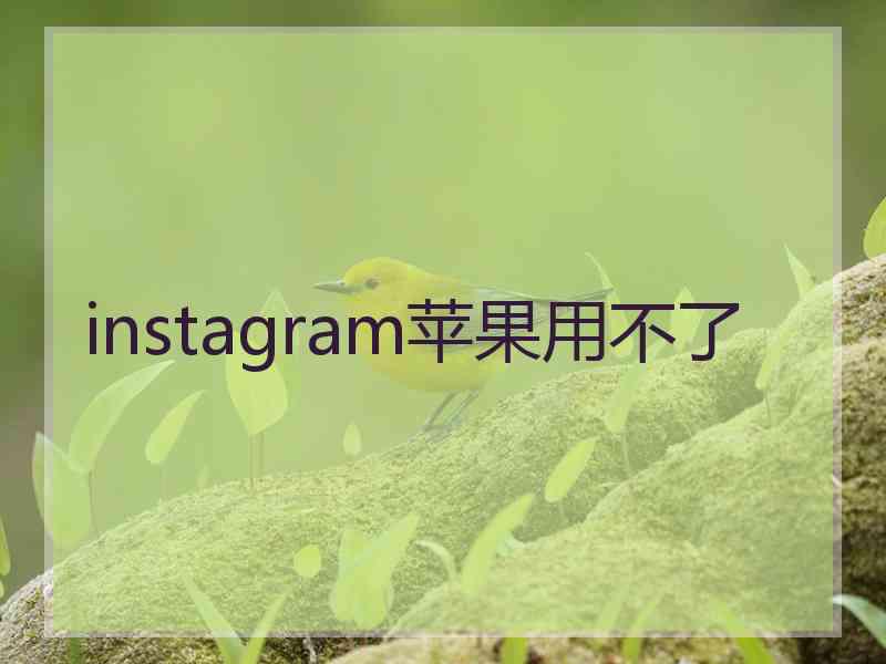 instagram苹果用不了