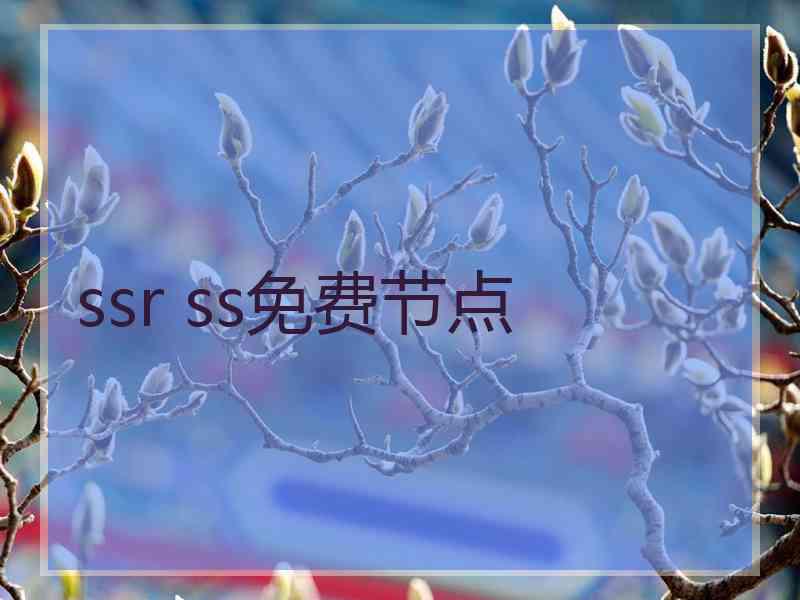 ssr ss免费节点