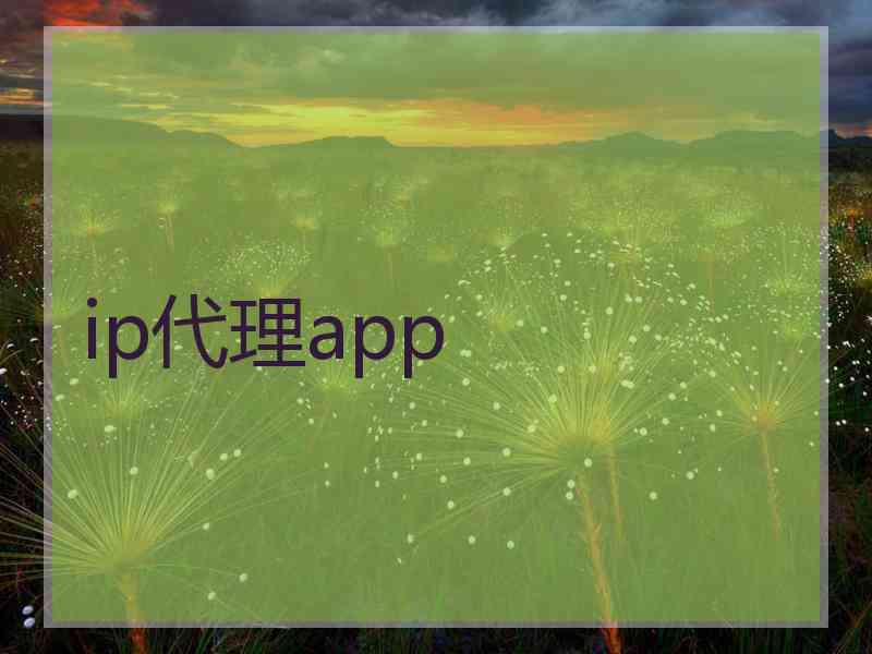 ip代理app