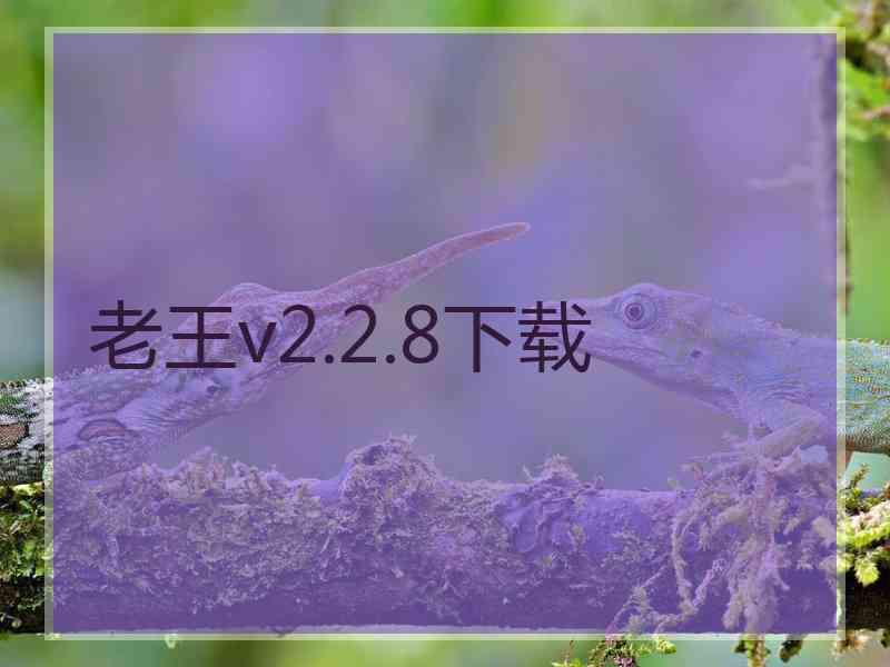 老王v2.2.8下载