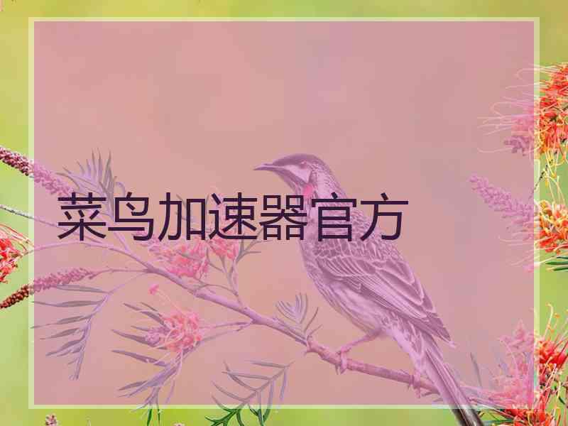 菜鸟加速器官方