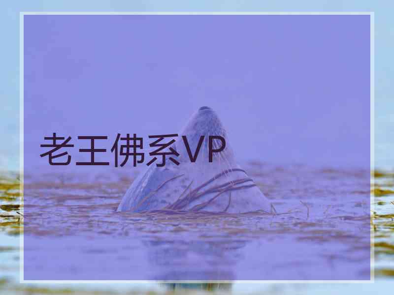 老王佛系VP