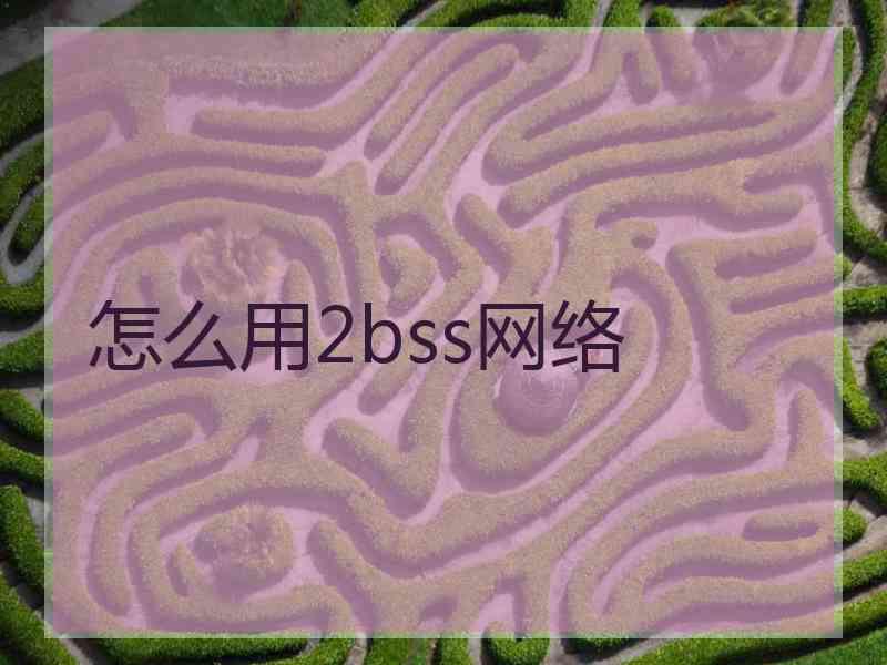 怎么用2bss网络