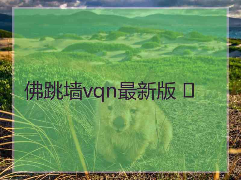 佛跳墙vqn最新版 	