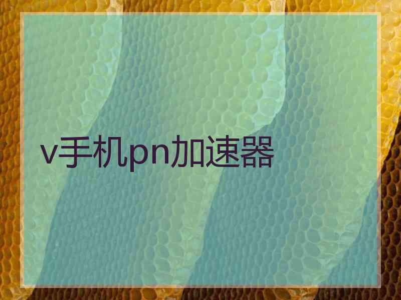 v手机pn加速器