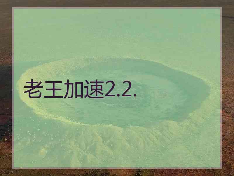 老王加速2.2.