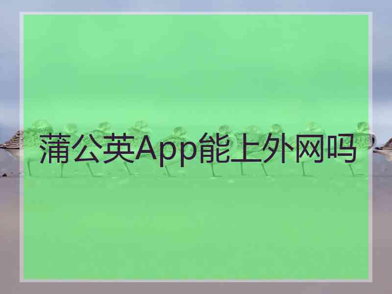 蒲公英App能上外网吗