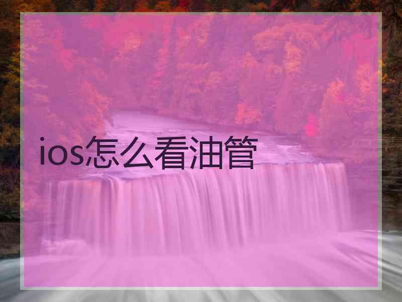 ios怎么看油管