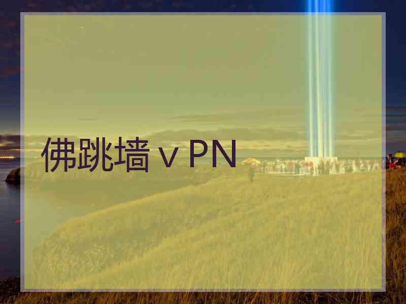 佛跳墙ⅴPN