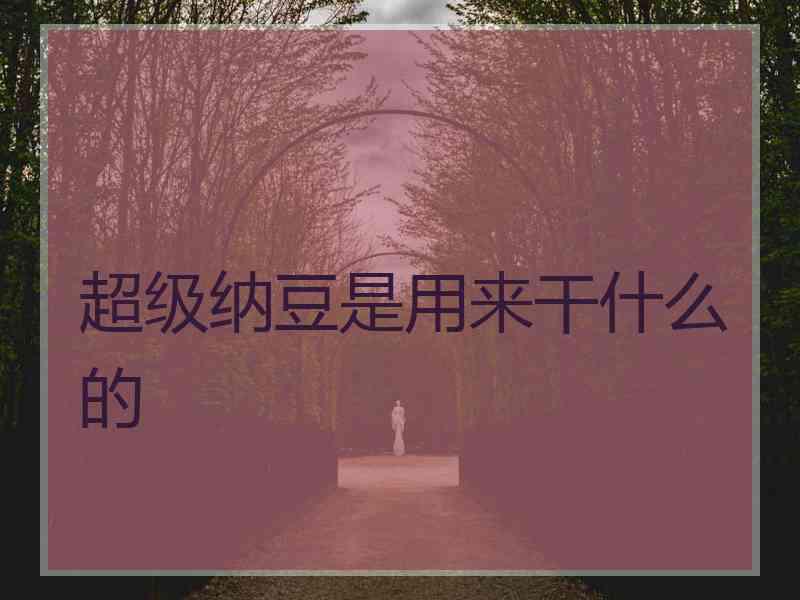 超级纳豆是用来干什么的