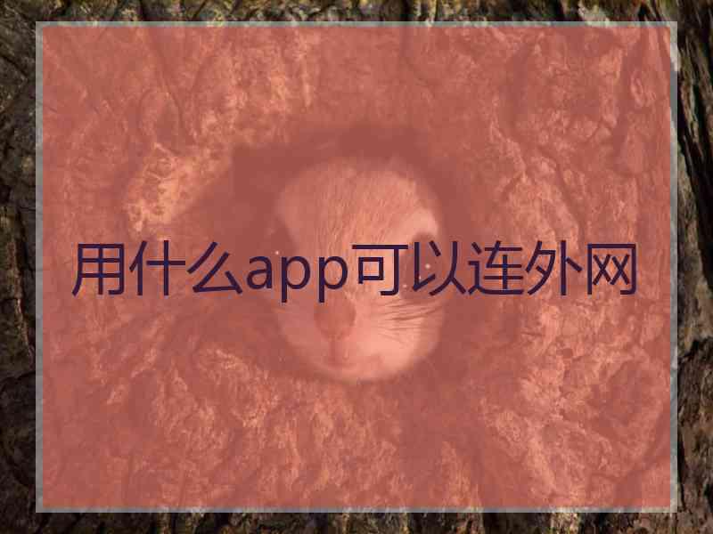 用什么app可以连外网