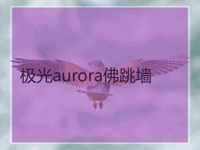 极光aurora佛跳墙