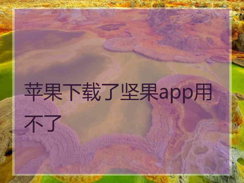 苹果下载了坚果app用不了