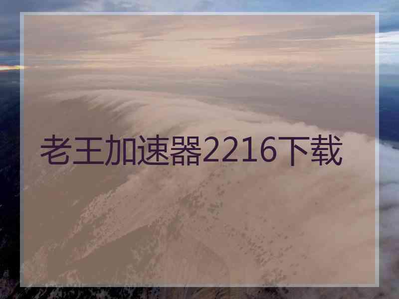 老王加速器2216下载