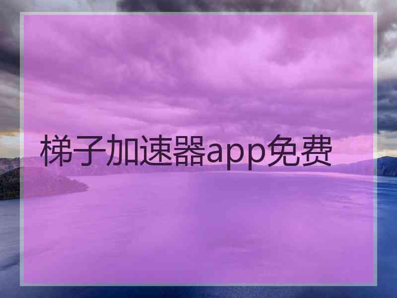 梯子加速器app免费