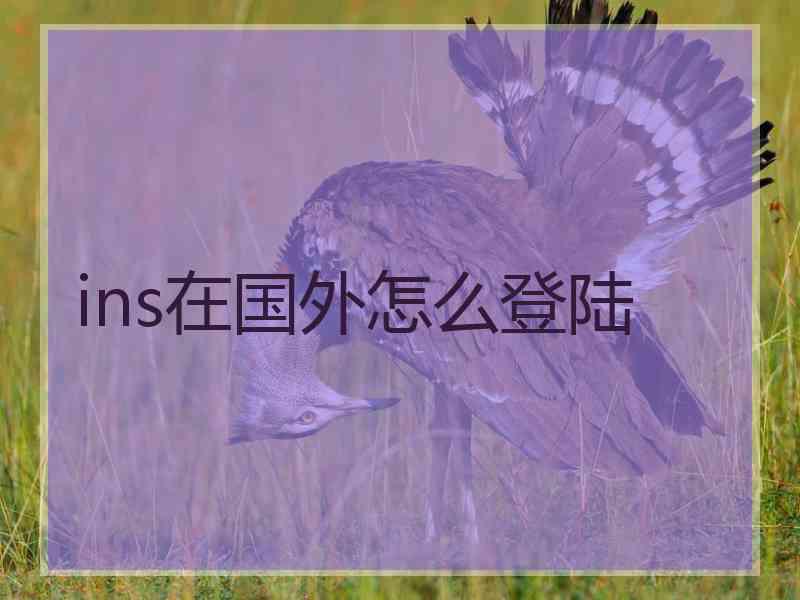 ins在国外怎么登陆