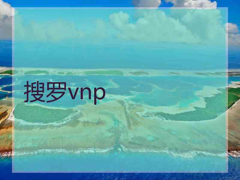 搜罗vnp