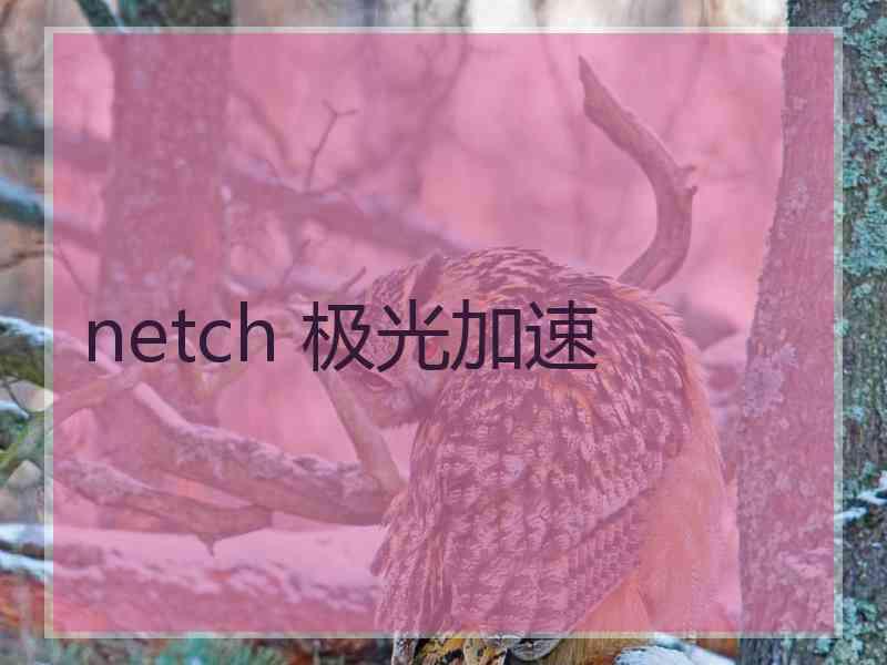 netch 极光加速