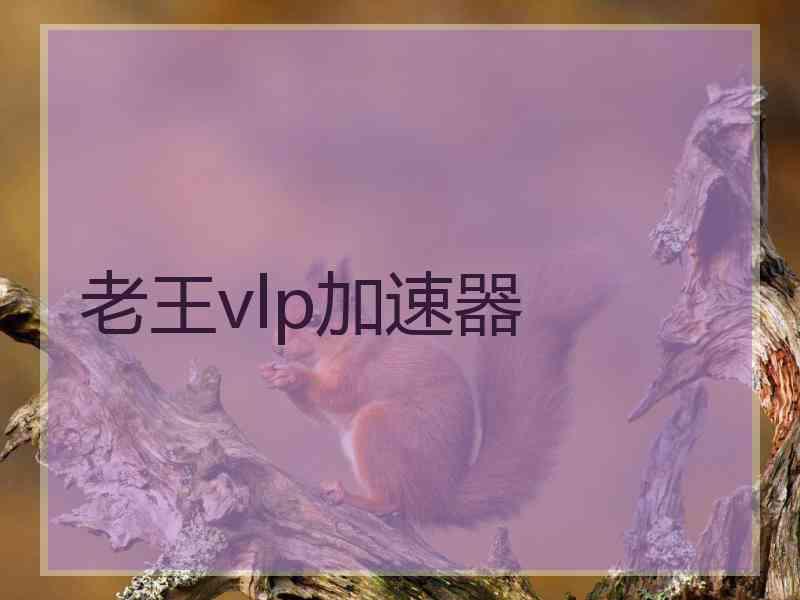 老王vlp加速器