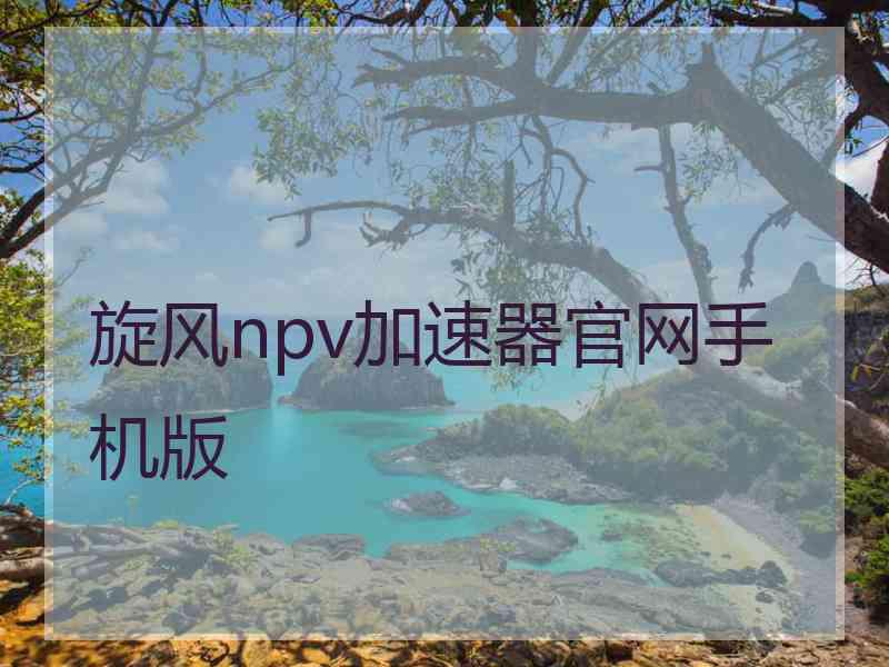 旋风npv加速器官网手机版