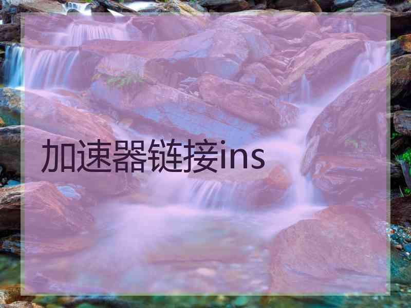 加速器链接ins