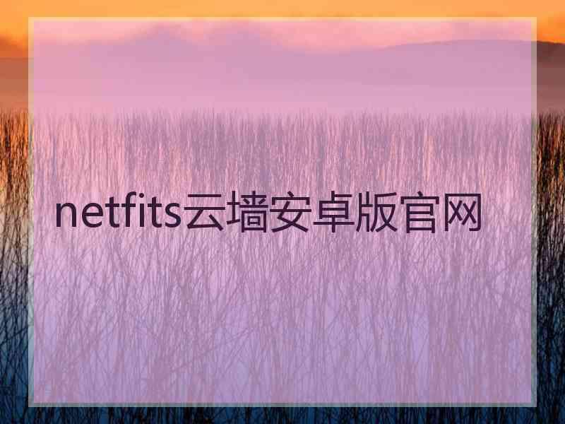 netfits云墙安卓版官网