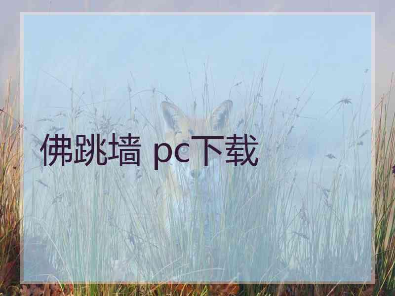 佛跳墙 pc下载