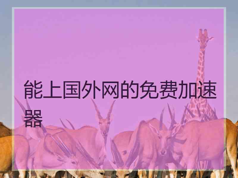 能上国外网的免费加速器