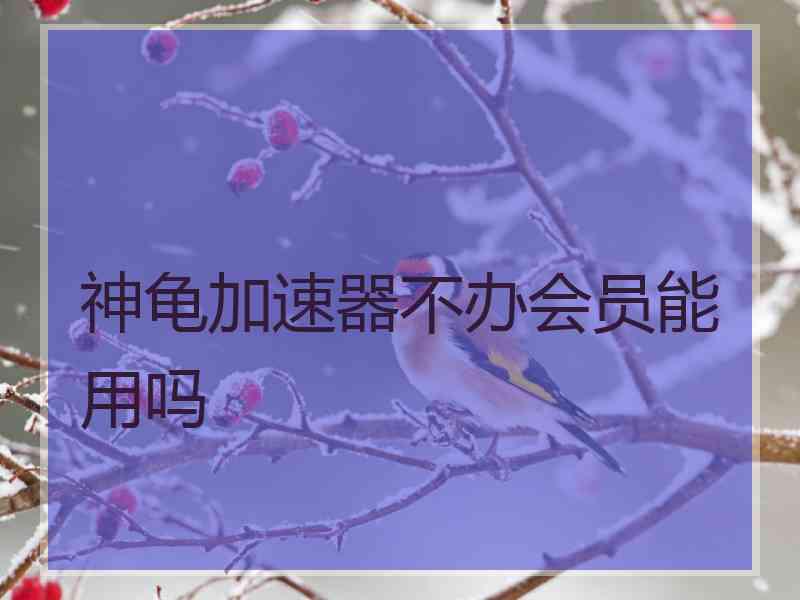 神龟加速器不办会员能用吗