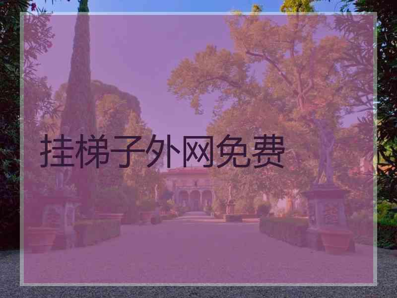 挂梯子外网免费